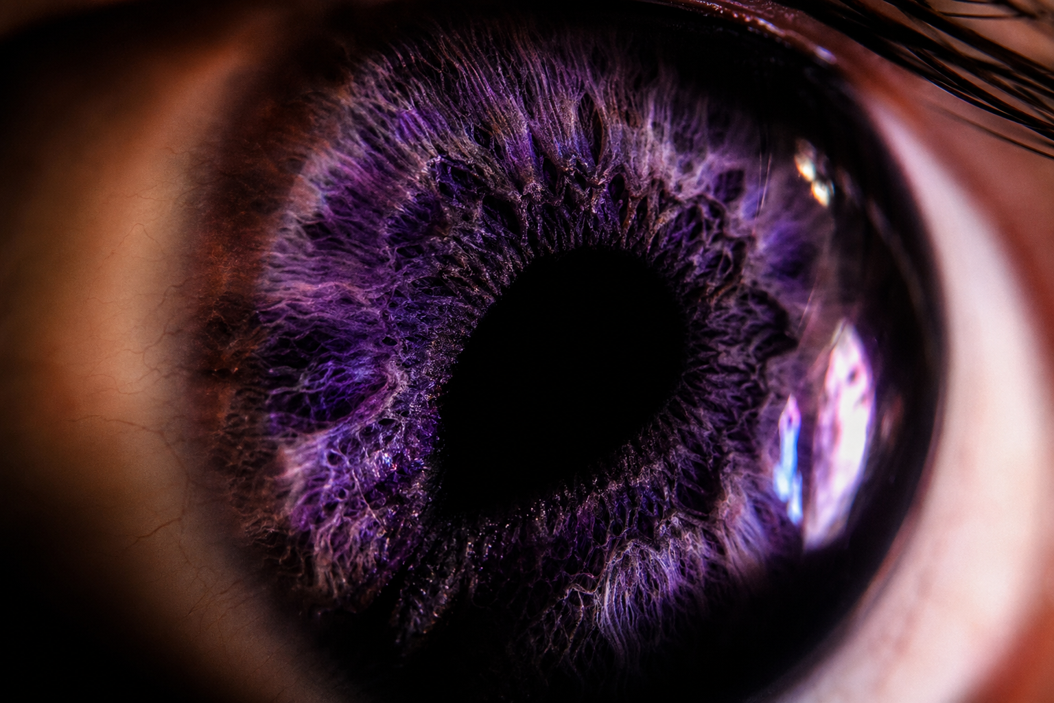 Illustrative still for focal length: Macro